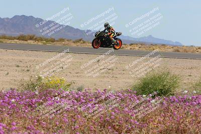 media/Mar-12-2023-SoCal Trackdays (Sun) [[d4c8249724]]/Turn 15 Inside Bloom (130pm)/